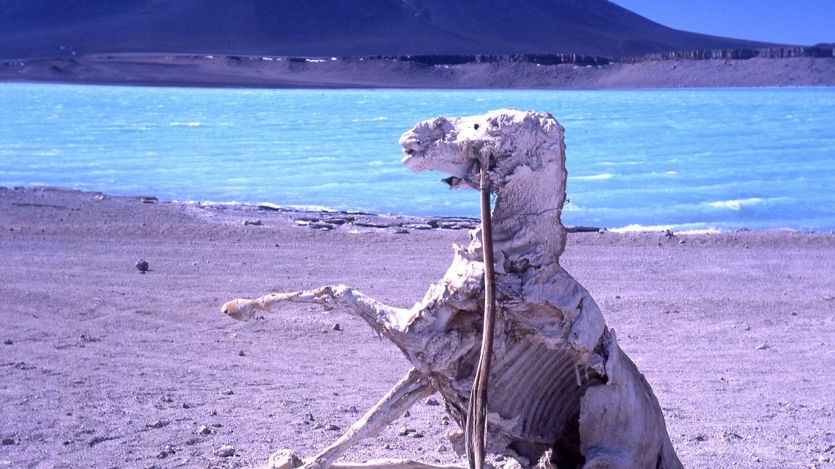 Atacama, Chile