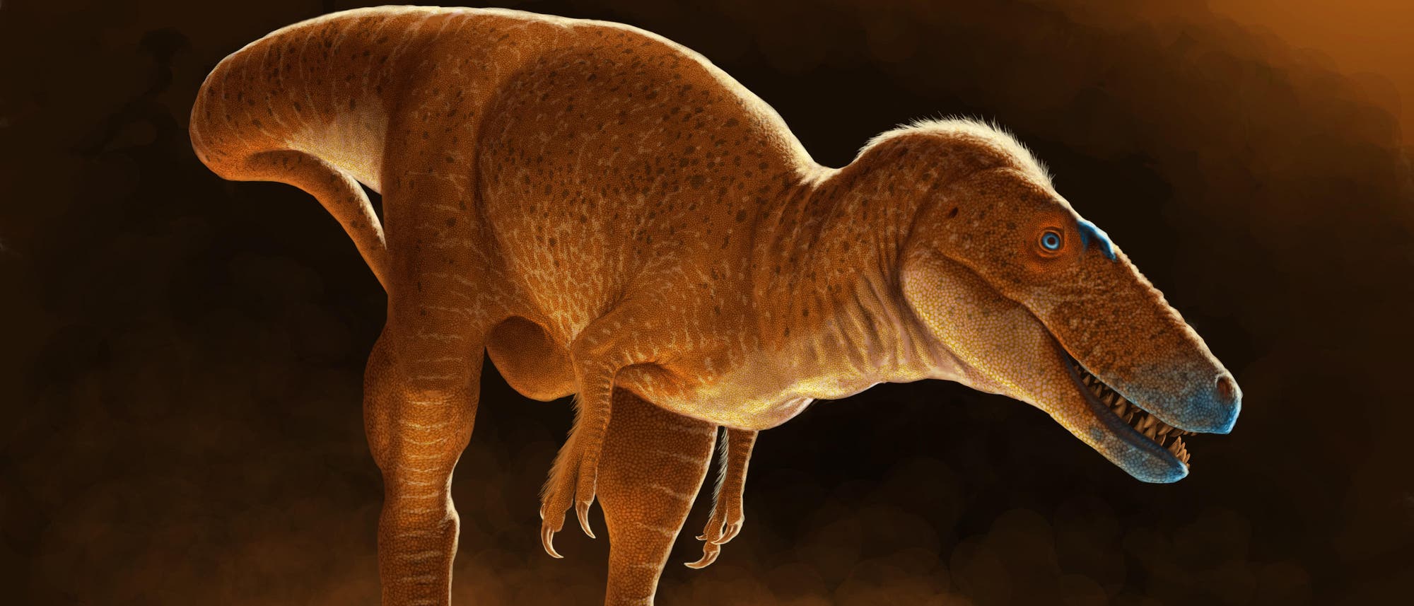 Eine künstlerische Darstellung eines Dinosauriers, der auf zwei Beinen auf einem Felsen steht. Der Dinosaurier hat eine orange-braune Haut mit feinen Schuppen und einen langen Schwanz. Der Hintergrund ist dunkel mit einem warmen, orangefarbenen Licht, das den Dinosaurier von hinten beleuchtet. Der Dinosaurier hat ein geöffnetes Maul mit sichtbaren Zähnen und blaue Augen. Eine künstlerische Darstellung eines Dinosauriers, der auf zwei Beinen auf einem Felsen steht. Der Dinosaurier hat eine orange-braune Haut mit feinen Schuppen und einen langen Schwanz. Der Hintergrund ist dunkel mit einem warmen, orangefarbenen Licht, das den Dinosaurier von hinten beleuchtet. Der Dinosaurier hat ein geöffnetes Maul mit sichtbaren Zähnen und blaue Augen.