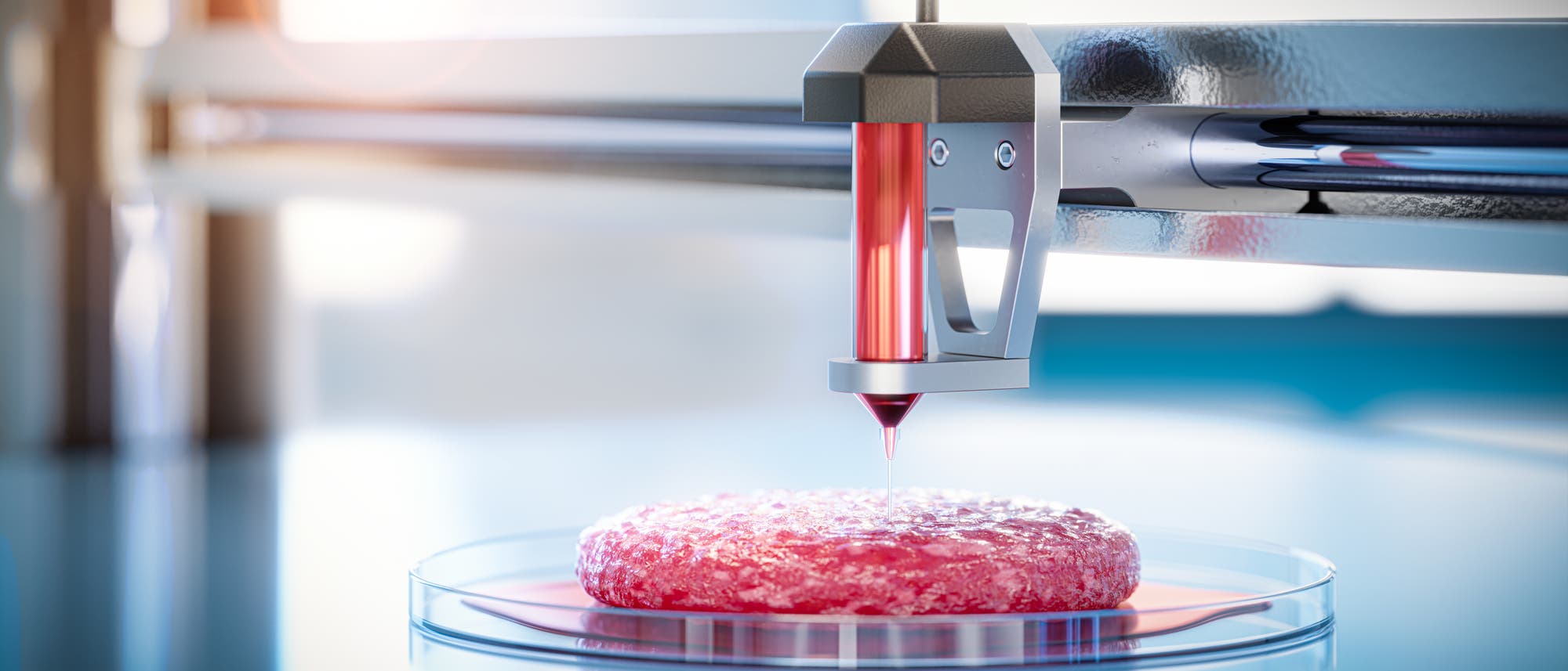 Fleisch aus dem 3-D-Drucker Fleisch aus dem 3-D-Drucker