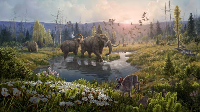 Die Illustration zeigt eine Landschaft, wie sie vor zwei Millionen Jahren an der Kap-København-Formation im Norden Grönlands ausgesehen haben könnte: ein Wald bevölkert von Mastodonten, Hasen und Rentieren, bei Temperaturen deutlich wärmer als heute.