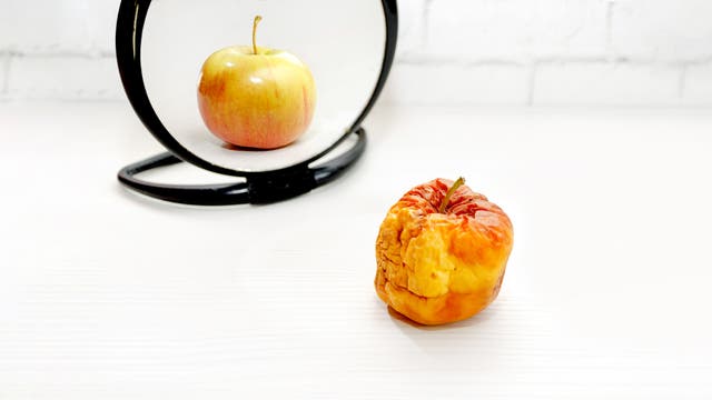 Ein schrumpeliger, alter Apfel steht vor einem Spiegel auf einem weißen Tisch. Im Spiegelbild erscheint der Apfel frisch und makellos.