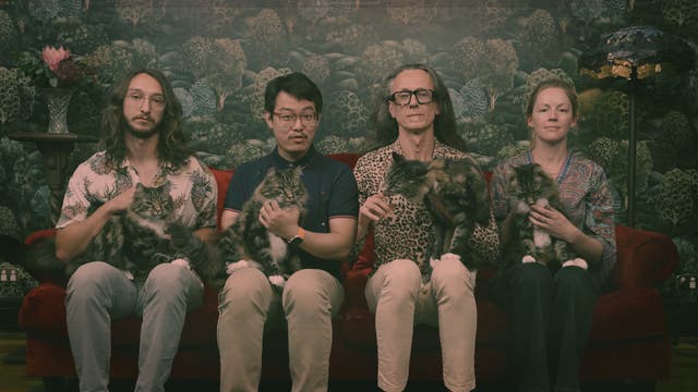 Vier Personen sitzen auf einer roten Couch vor einer Tapete mit Waldmotiv. Die Personen tragen unterschiedliche Oberteile. Jede Person hält eine Katze. Links steht eine Vase mit einer Blume auf einem Tisch. Rechts ist eine dekorative Lampe zu sehen. Es sind die Quantenphysiker (v.l.n.r.) Benjamin Wilhelm, Xi Yu, Andrea Morello und Danielle Holmes der University of New South Wales.