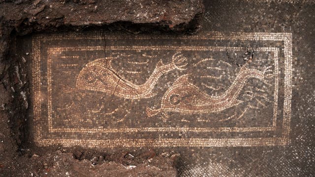 Ein antikes Mosaik zeigt zwei stilisierte Fische, die in entgegengesetzte Richtungen schwimmen. Das Mosaik ist von einem rechteckigen Rahmen umgeben und in Erdtönen gehalten. Teile des Mosaiks sind von Erde und Schutt umgeben, was auf eine archäologische Ausgrabung hindeutet.