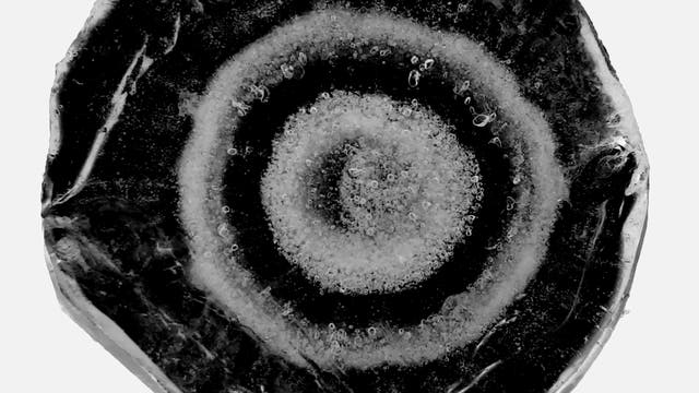 Nahaufnahme eines Querschnitts eines kreisförmigen Hagelkorns mit schwarz-weißen, konzentrischen Ringen. In den hellen Ringen lassen sich eingeschlossene Luftbläschen erkennen, während die schwarzen Bereiche kompaktem, transparentem Eis entsprechen.