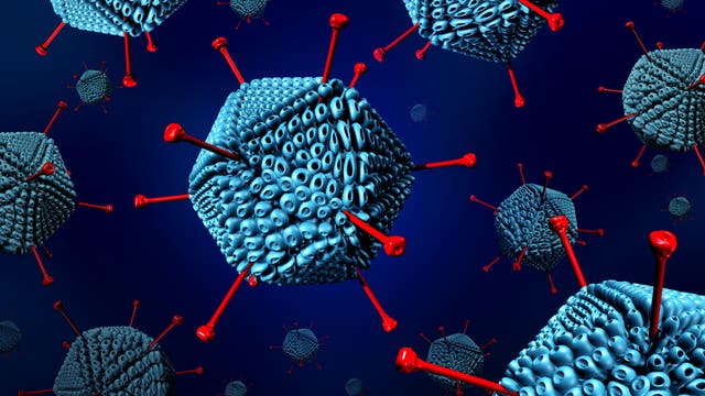 Künstlerische Darstellung eines Adenovirus