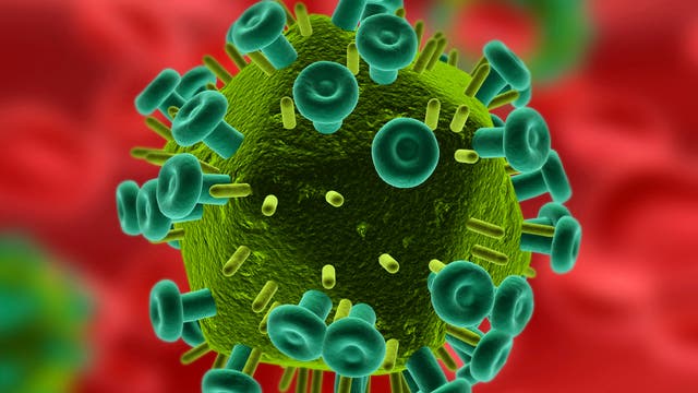 HI-Virus