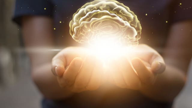 Handinnenflächen schützen leuchtendes virtuelles Gehirn