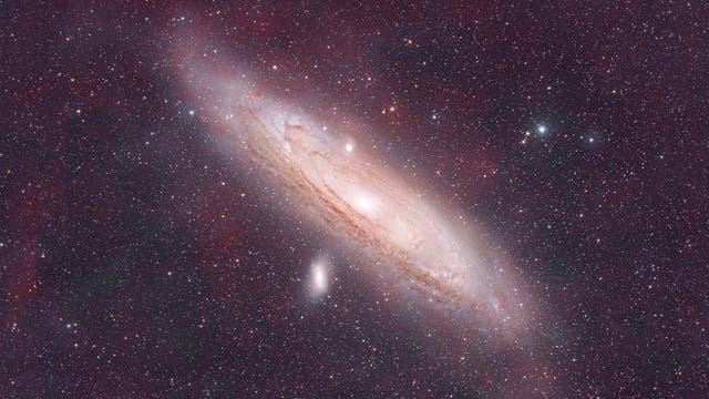 Eine detaillierte Aufnahme der Andromeda-Galaxie, die sich spiralförmig mit einem hellen Kern und ausgedehnten Armen zeigt. Umgeben von zahlreichen funkelnden Sternen auf einem dunklen Hintergrund. Die Galaxie ist leicht geneigt und zeigt ihre majestätische Struktur.