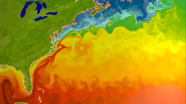 Meeresoberflächentemperaturen aus einer Simulation mit dem globalen Klimamodell CM2.6 des Geophysical Fluid Dynamics Lab in Princeton, USA. Das warme Wasser des Golfstroms ist in Rot dargestellt.