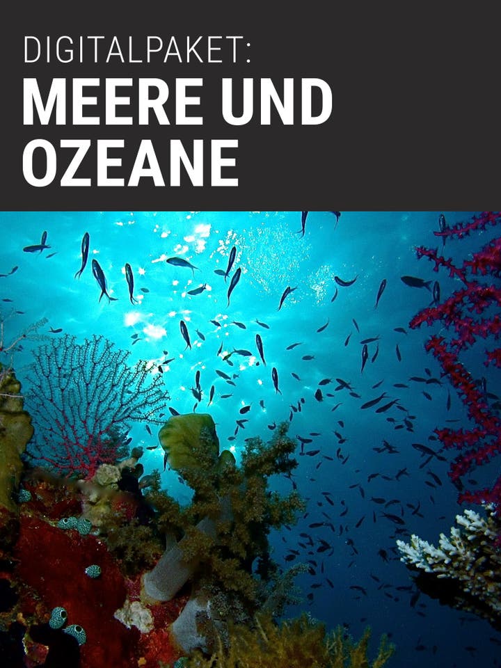  Digitalpaket: Meere und Ozeane