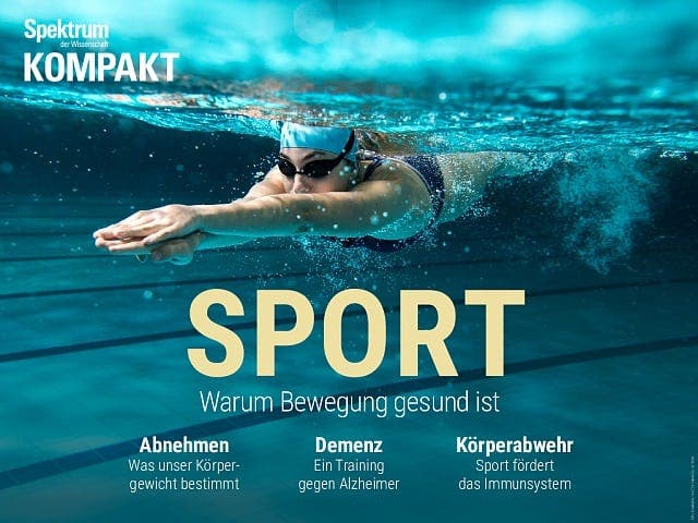  Sport – Warum Bewegung gesund ist