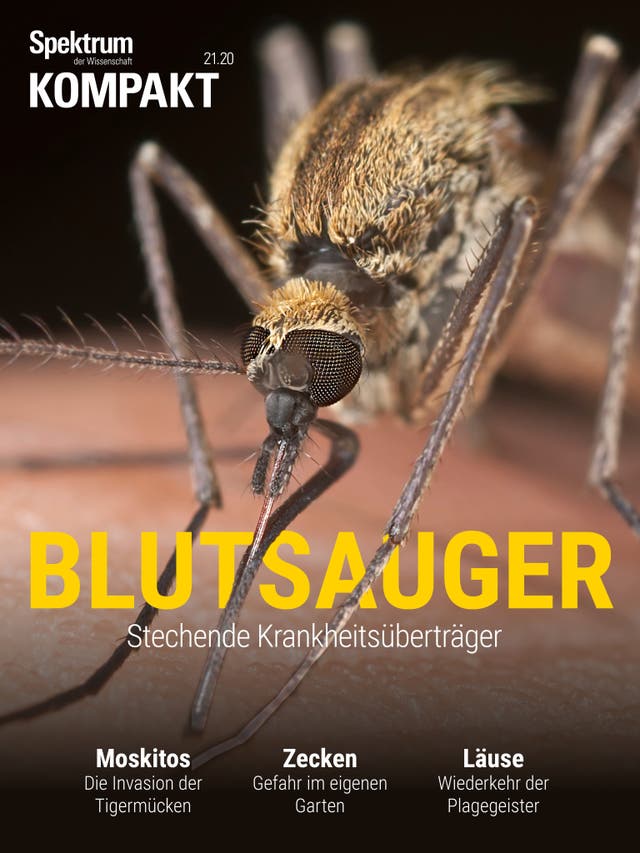 Spektrum Kompakt - 21/2020 - Blutsauger - Stechende Krankheitsüberträger