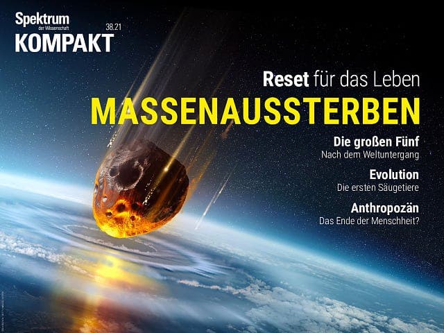  Massenaussterben – Reset für das Leben