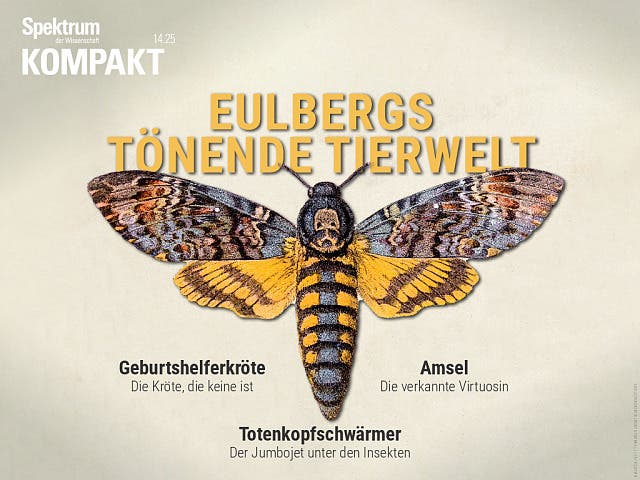  Eulbergs tönende Tierwelt
