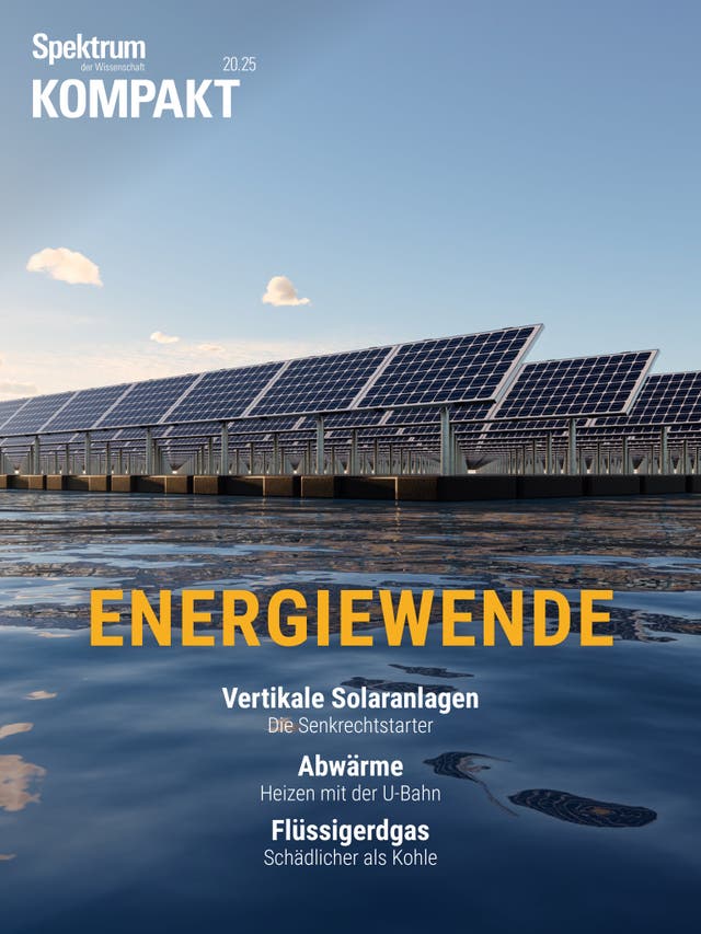 Spektrum Kompakt - 20/2025 - Energiewende